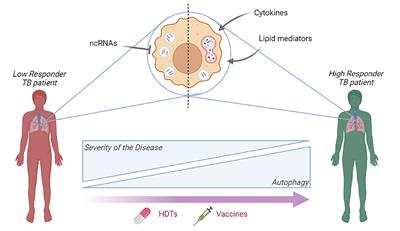 Shedding Light on Autophagy During Human Tuberculosis. A Long Way to Go